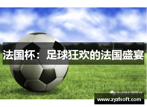 法国杯：足球狂欢的法国盛宴